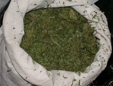 Paketlenmiş Esrarla Yakalandı