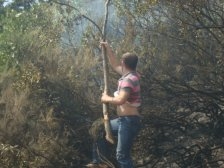 Akyazı ilçesinde çıkan orman yangını güçlükle kontrol altına alınabildi.