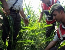 Sakarya'da Uyuşturucu Operasyonları