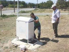 Sokak Hayvanlarının Yemlerine Göz Diktiler