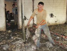 8 Bin Tavuk  Yangında Telef Oldu