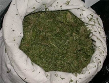 Sakarya'da Kaçakçılık Operasyonları