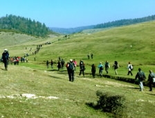 Doğaseverler Yaylaya Çıktı