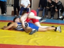 Şampiyonları Anma Turnuvası