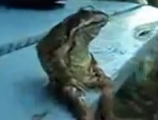 Dünyanın Derdi Bitmez!