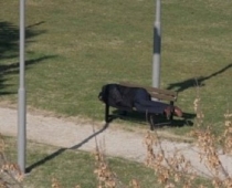 Evden Kaçan Öğrenci İstanbul'da Bulundu