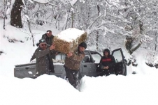 Yabani Hayvanlar İçin Doğaya Yem Bırakıldı