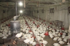 Hızla Eriyen Kar Suları Taşkın ve Heyelana Sebep Oldu