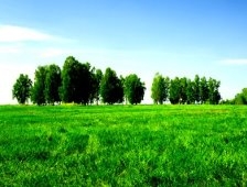 Cumhurbaşkanı Gül'den 2-B arazilerine onay