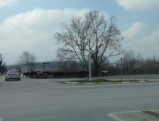 Havaların ısınmasıyla tehlikede artmaya başladı. 