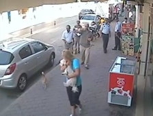 Anne Kediye Kafa Tutan Köpek Yaptığına Pişman oldu