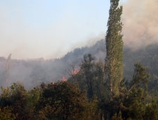 Sakarya’daki orman yangını kontrol altına alındı