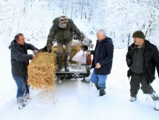 Yaban Hayvanlarına Yem Bırakıldı