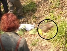 Çalışmak İçin Gittiği Fındık Bahçesinde Hayatını Kaybetti