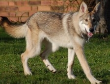 Akyazı Belediyesinden Basın Açıklaması