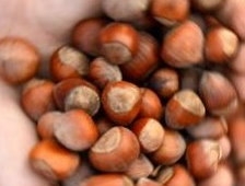 Fındık Satışının 8 bin 39 Tonu AKYAZI’dan