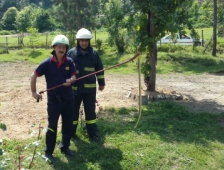 Eve Giren Yılan Korkuttu.