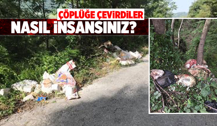 Rezillik mahalleyi çöplüğe çevirdiler