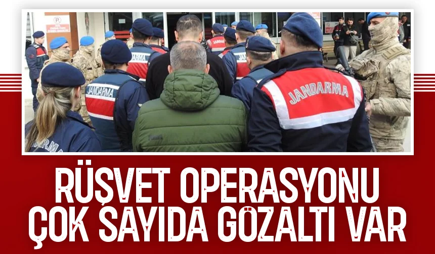 Rüşvet operasyonu Sakarya'ya uzandı; Muhtarlar ve orman işletme çalışanları gözaltında