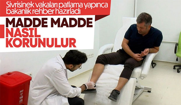 Sağlık Bakanlığı'ndan sivrisineklerden korunma rehberi