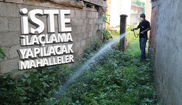 SAĞLIK İŞLERİ EKİPLERİ GECE İLAÇLAMA MESAİSİNE BAŞLADI