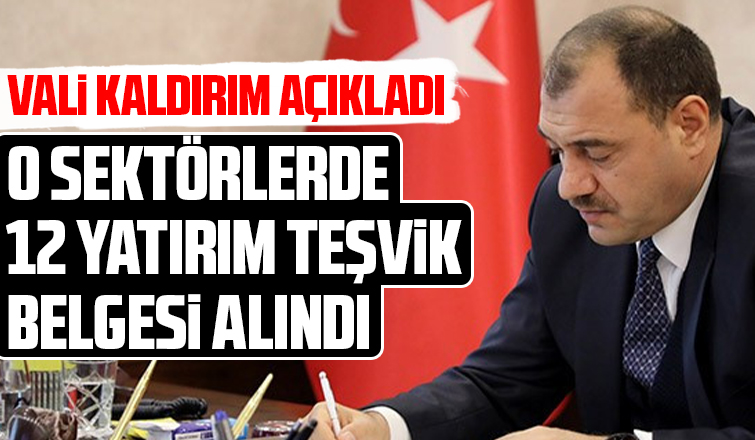 Sakarya 12 yatırım teşvik belgesi aldı