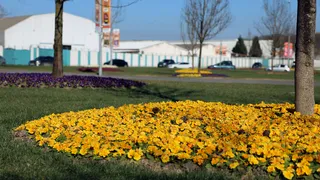 Sakarya bayrama hazırlandı