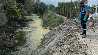 Sakarya Büyükşehir vektörler ile mücadeleyi sürdürüyor