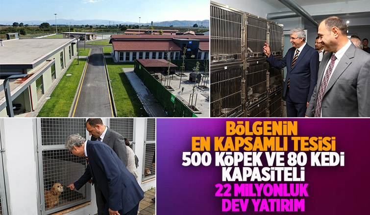 Sakarya Büyükşehirden sokak hayvanları için dev tesis