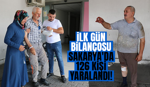 Sakarya'da 126 acemi kasap yaralandı