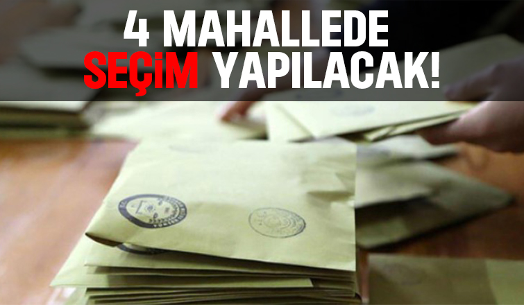 Sakarya'da 4 mahallede seçim yapılacak