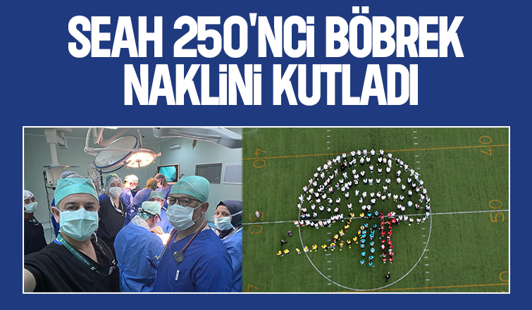 Sakarya'da 6 yılda 250 nakli yapıldı
