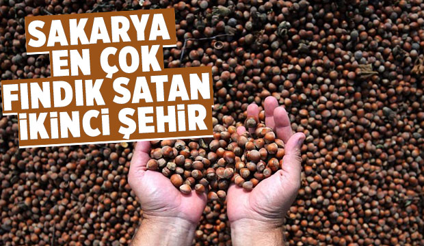  Sakarya'da 69 bin 627 ton fındık satıldı