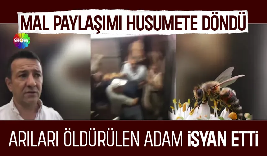Sakarya'da arıları öldüren husumet!