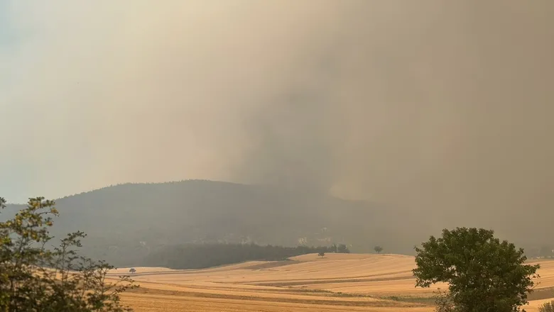 Sakarya'da başlayıp Bilecik'e sıçrayan orman yangını kısmen kontrol altında