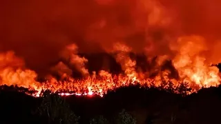 Sakarya'da başlayıp Bilecik'e sıçrayan yangın felaketinde son durum