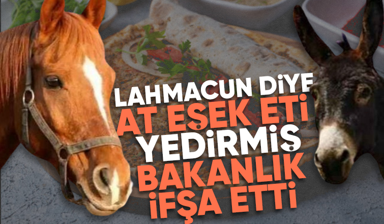 Sakarya'da bir işletmenin lahmacununda at eşek eti bulundu