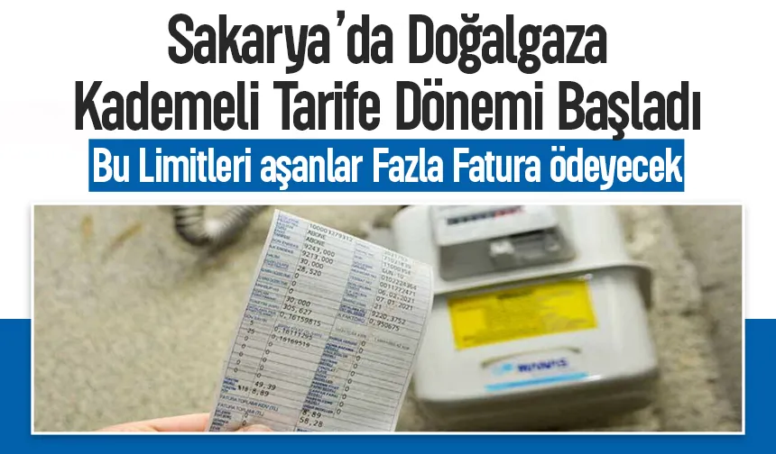 Sakarya'da doğalgaz faturalarında yeni dönem; Limitler açıklandı, aşan fazla ödeyecek