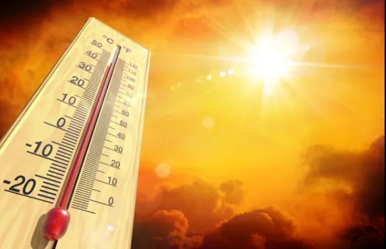 Sakarya'da en yüksek sıcaklık o ilçede kaydedildi
