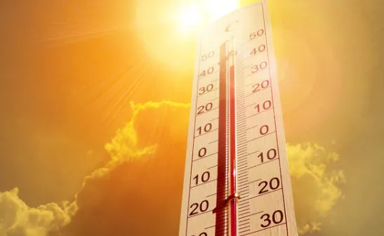 Sakarya'da en yüksek sıcaklık o ilçede kaydedildi