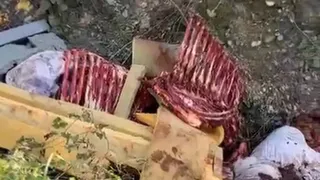 Sakarya'da et kesenler yakalanırken etlerin akıbeti merak uyandırdı