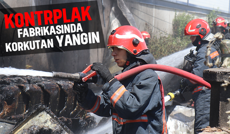Sakarya'da fabrika yangını