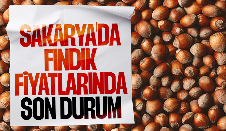 Sakarya'da fındık fiyatları arttı