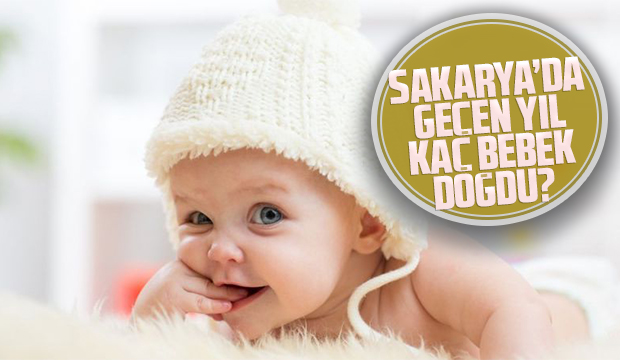 Sakarya'da geçen yıl kaç bebek doğdu?