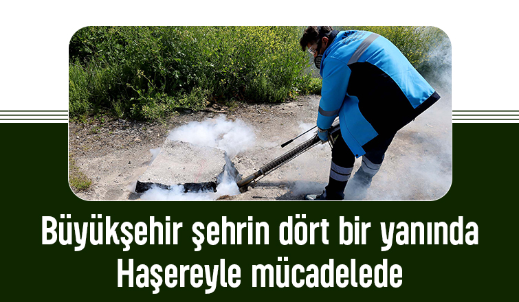 Sakarya'da haşereyle mücadele başladı