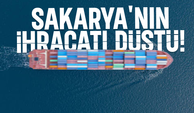 Sakarya'da ihracat düştü