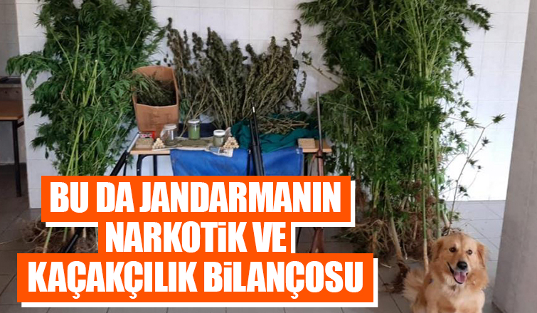 Sakarya'da jandarma narkotik ve kaçakçılık bilançosunu açıkladı