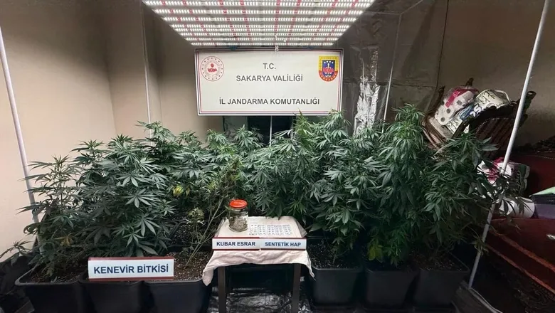 Sakarya'da jandarmadan 3 ayrı uyuşturucu operasyonu