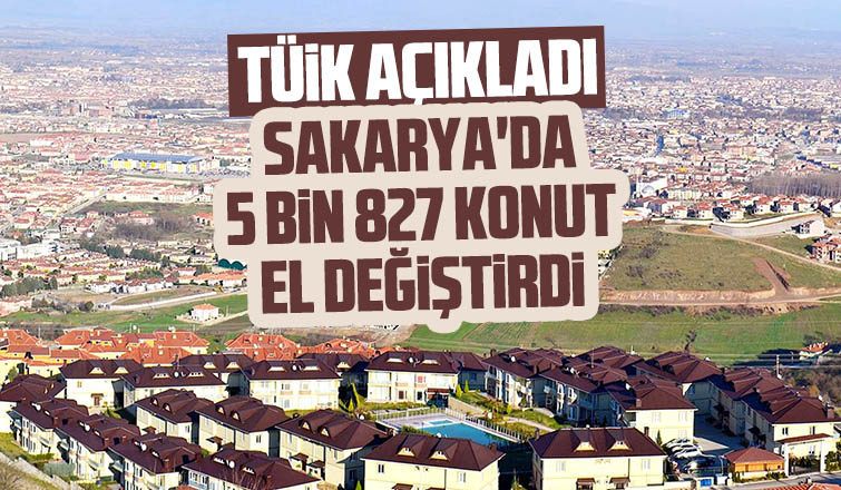 Sakarya'da kaç konut satıldı?