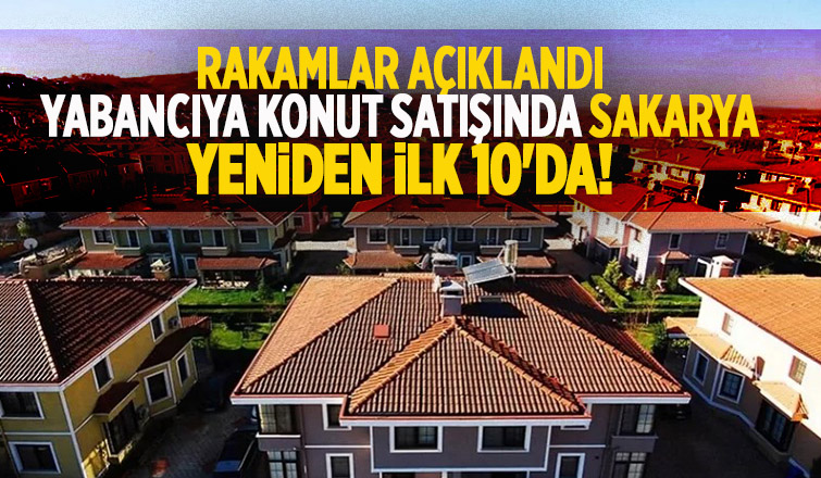 Sakarya'da kaç konut satıldı?